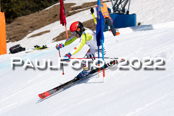 22. SVM Regionalcup-Finale 2022, Kinder, Schüler, Jugend, Erwachsene 20.03.2022