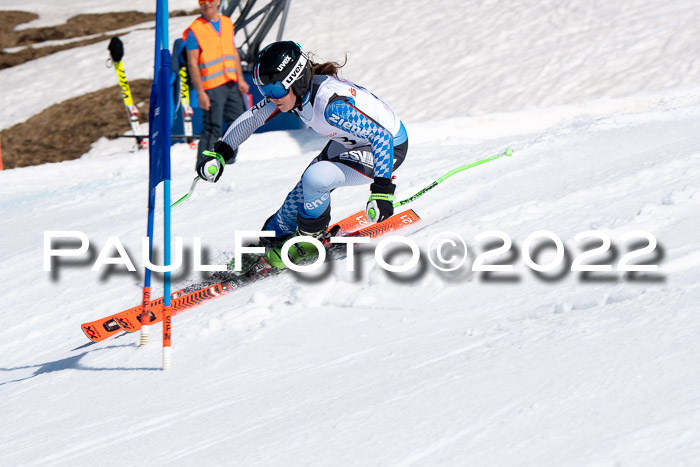 22. SVM Regionalcup-Finale 2022, Kinder, Schüler, Jugend, Erwachsene 20.03.2022