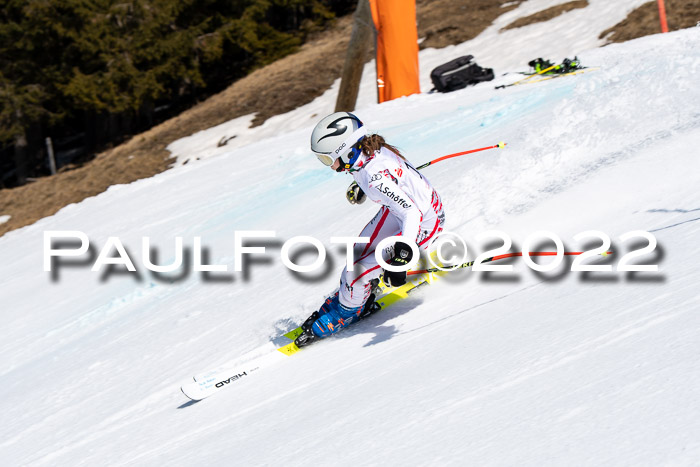 22. SVM Regionalcup-Finale 2022, Kinder, Schüler, Jugend, Erwachsene 20.03.2022