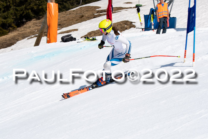 22. SVM Regionalcup-Finale 2022, Kinder, Schüler, Jugend, Erwachsene 20.03.2022