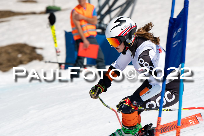 22. SVM Regionalcup-Finale 2022, Kinder, Schüler, Jugend, Erwachsene 20.03.2022