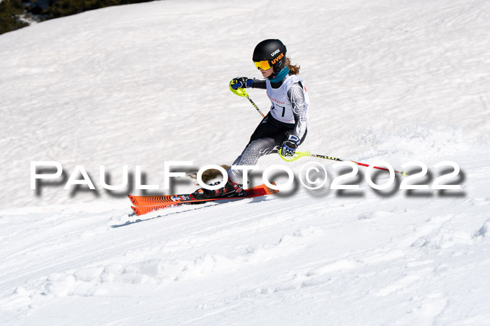 22. SVM Regionalcup-Finale 2022, Kinder, Schüler, Jugend, Erwachsene 20.03.2022