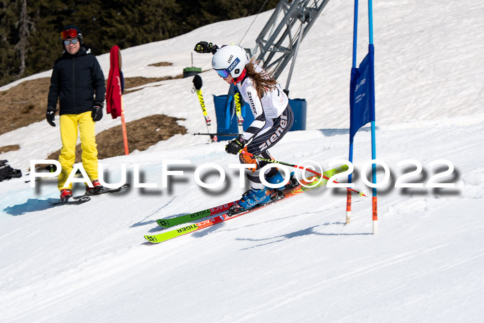 22. SVM Regionalcup-Finale 2022, Kinder, Schüler, Jugend, Erwachsene 20.03.2022