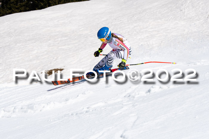22. SVM Regionalcup-Finale 2022, Kinder, Schüler, Jugend, Erwachsene 20.03.2022