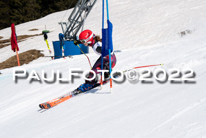 22. SVM Regionalcup-Finale 2022, Kinder, Schüler, Jugend, Erwachsene 20.03.2022