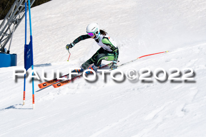 22. SVM Regionalcup-Finale 2022, Kinder, Schüler, Jugend, Erwachsene 20.03.2022