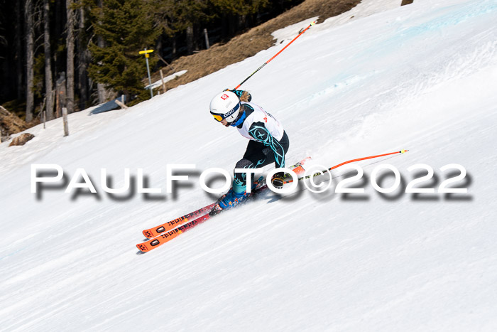 22. SVM Regionalcup-Finale 2022, Kinder, Schüler, Jugend, Erwachsene 20.03.2022
