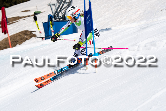22. SVM Regionalcup-Finale 2022, Kinder, Schüler, Jugend, Erwachsene 20.03.2022