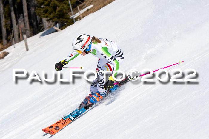 22. SVM Regionalcup-Finale 2022, Kinder, Schüler, Jugend, Erwachsene 20.03.2022