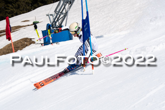 22. SVM Regionalcup-Finale 2022, Kinder, Schüler, Jugend, Erwachsene 20.03.2022