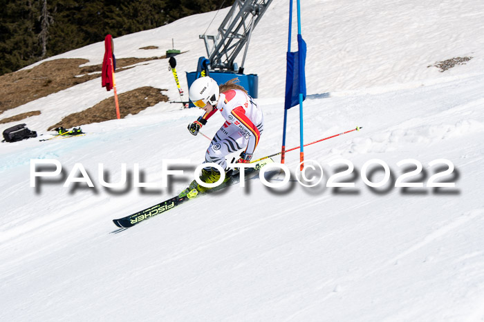 22. SVM Regionalcup-Finale 2022, Kinder, Schüler, Jugend, Erwachsene 20.03.2022