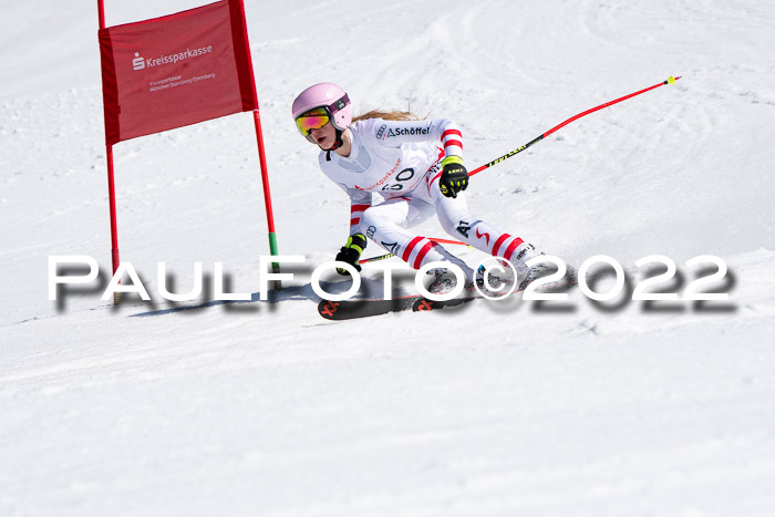 22. SVM Regionalcup-Finale 2022, Kinder, Schüler, Jugend, Erwachsene 20.03.2022