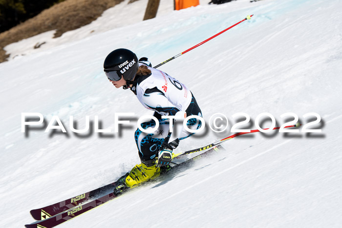 22. SVM Regionalcup-Finale 2022, Kinder, Schüler, Jugend, Erwachsene 20.03.2022