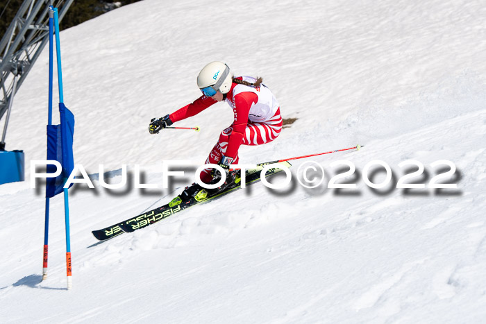 22. SVM Regionalcup-Finale 2022, Kinder, Schüler, Jugend, Erwachsene 20.03.2022