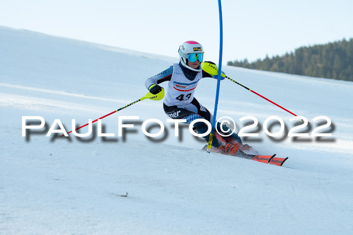 DSV Schülercup Finale U14 SL 20.03.2022