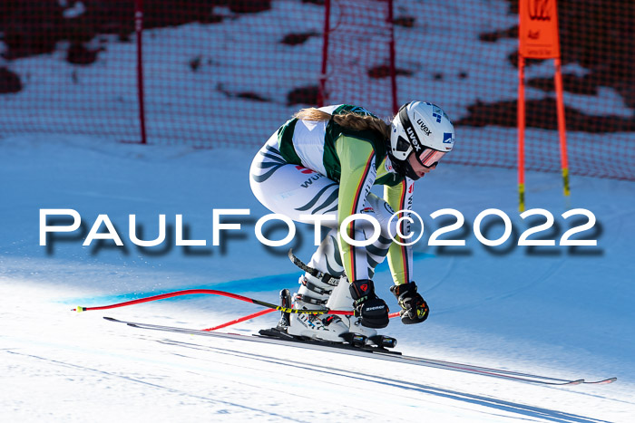 FIS, Int. Dt. Meisterschaft Training 1 +2 Abfahrt, Damen + Herren 20.03.2022