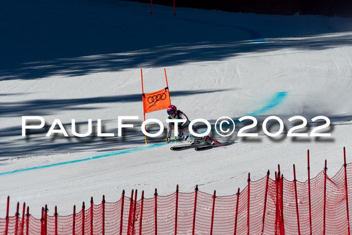 FIS, Int. Dt. Meisterschaft Training 1 +2 Abfahrt, Damen + Herren 20.03.2022