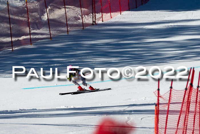 FIS, Int. Dt. Meisterschaft Training 1 +2 Abfahrt, Damen + Herren 20.03.2022