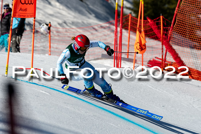 FIS, Int. Dt. Meisterschaft Training 1 +2 Abfahrt, Damen + Herren 20.03.2022