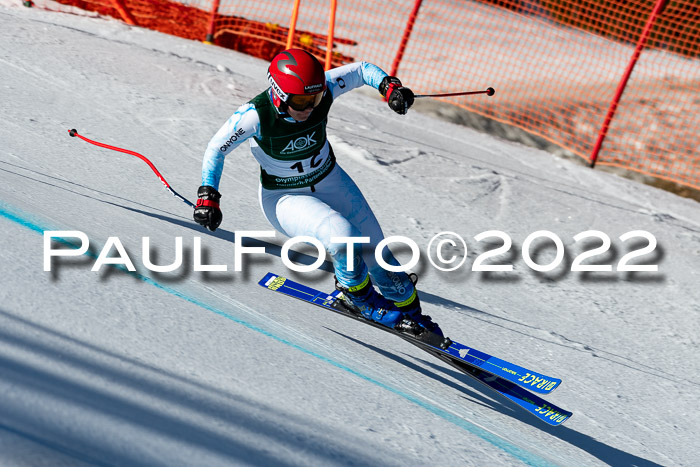 FIS, Int. Dt. Meisterschaft Training 1 +2 Abfahrt, Damen + Herren 20.03.2022