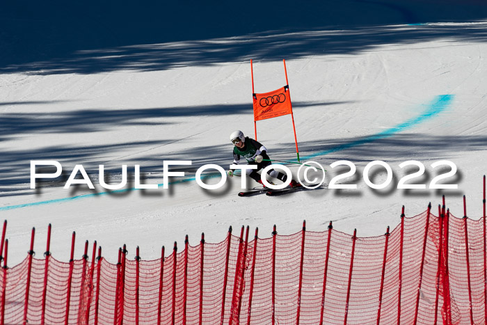 FIS, Int. Dt. Meisterschaft Training 1 +2 Abfahrt, Damen + Herren 20.03.2022