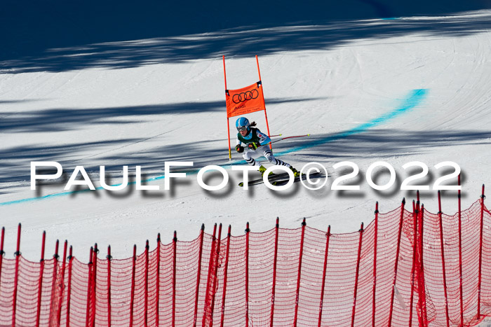 FIS, Int. Dt. Meisterschaft Training 1 +2 Abfahrt, Damen + Herren 20.03.2022