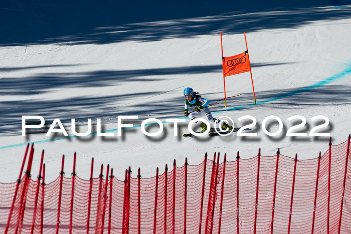 FIS, Int. Dt. Meisterschaft Training 1 +2 Abfahrt, Damen + Herren 20.03.2022