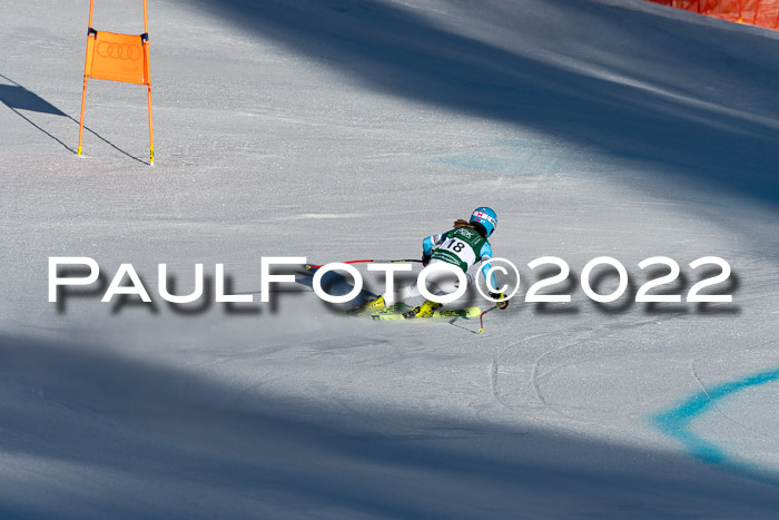 FIS, Int. Dt. Meisterschaft Training 1 +2 Abfahrt, Damen + Herren 20.03.2022