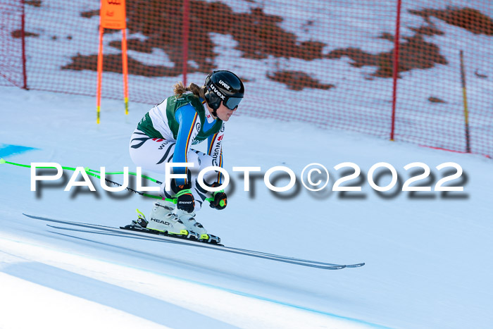 FIS, Int. Dt. Meisterschaft Training 1 +2 Abfahrt, Damen + Herren 20.03.2022