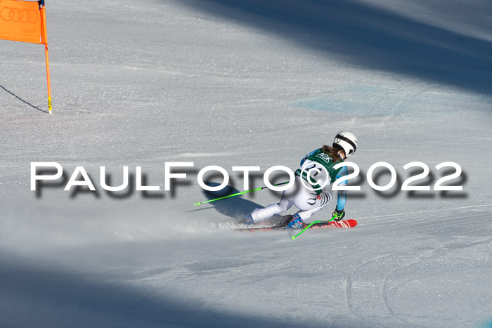 FIS, Int. Dt. Meisterschaft Training 1 +2 Abfahrt, Damen + Herren 20.03.2022