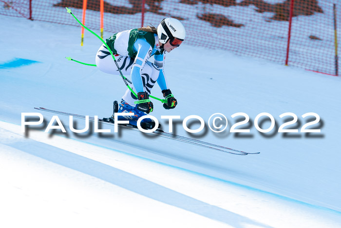 FIS, Int. Dt. Meisterschaft Training 1 +2 Abfahrt, Damen + Herren 20.03.2022