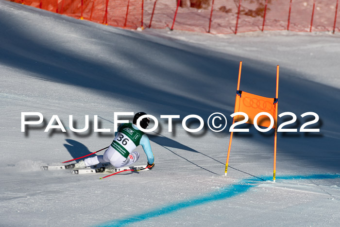 FIS, Int. Dt. Meisterschaft Training 1 +2 Abfahrt, Damen + Herren 20.03.2022
