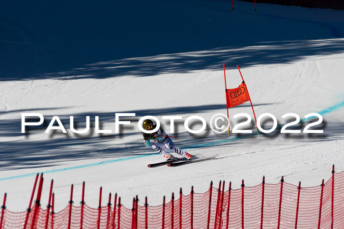FIS, Int. Dt. Meisterschaft Training 1 +2 Abfahrt, Damen + Herren 20.03.2022