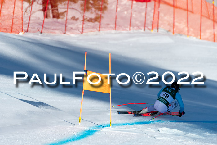 FIS, Int. Dt. Meisterschaft Training 1 +2 Abfahrt, Damen + Herren 20.03.2022
