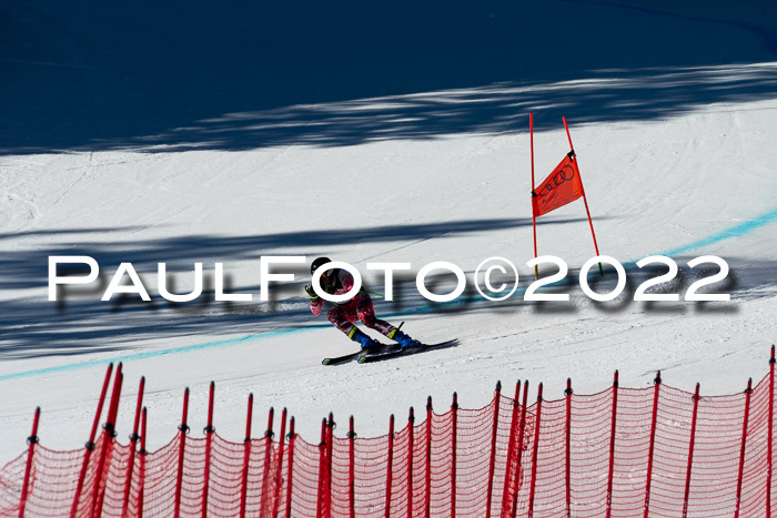 FIS, Int. Dt. Meisterschaft Training 1 +2 Abfahrt, Damen + Herren 20.03.2022