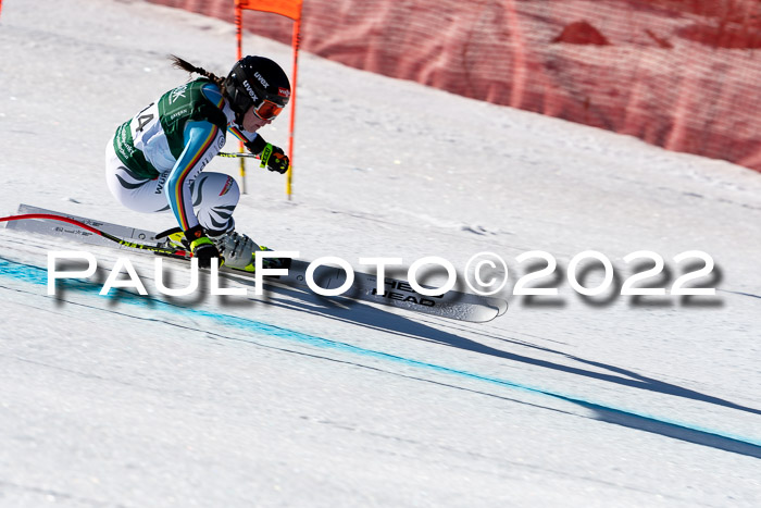 FIS, Int. Dt. Meisterschaft Training 1 +2 Abfahrt, Damen + Herren 20.03.2022