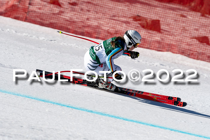 FIS, Int. Dt. Meisterschaft Training 1 +2 Abfahrt, Damen + Herren 20.03.2022