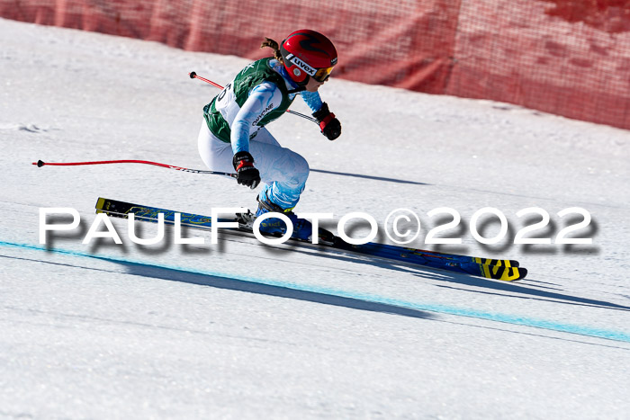 FIS, Int. Dt. Meisterschaft Training 1 +2 Abfahrt, Damen + Herren 20.03.2022