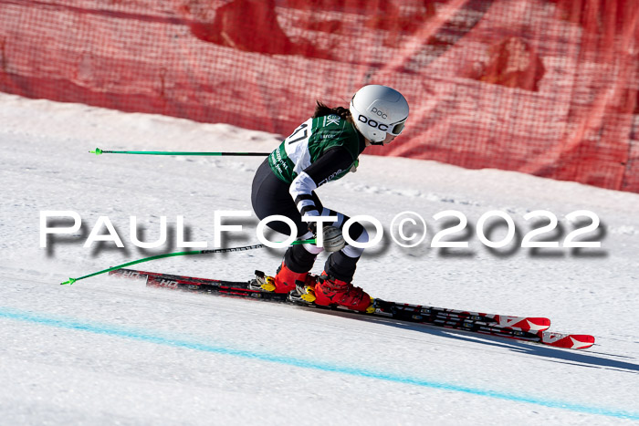 FIS, Int. Dt. Meisterschaft Training 1 +2 Abfahrt, Damen + Herren 20.03.2022