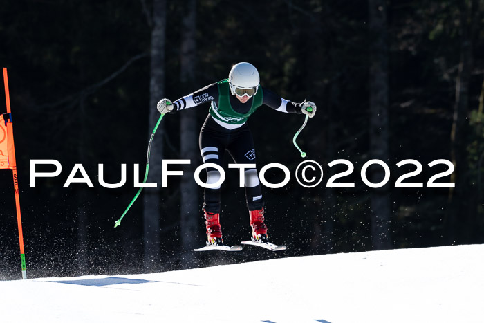 FIS, Int. Dt. Meisterschaft Training 1 +2 Abfahrt, Damen + Herren 20.03.2022