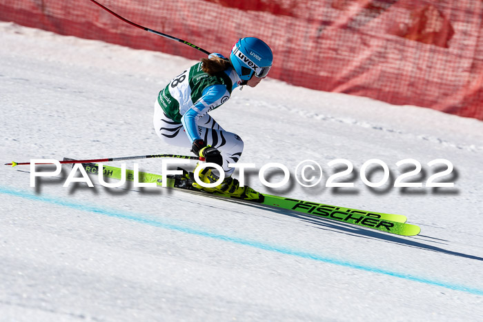 FIS, Int. Dt. Meisterschaft Training 1 +2 Abfahrt, Damen + Herren 20.03.2022