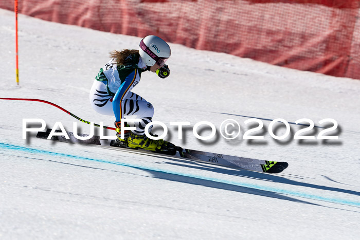 FIS, Int. Dt. Meisterschaft Training 1 +2 Abfahrt, Damen + Herren 20.03.2022