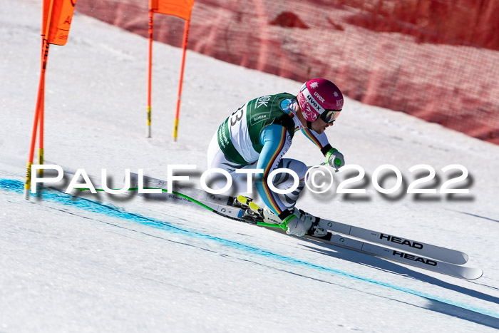 FIS, Int. Dt. Meisterschaft Training 1 +2 Abfahrt, Damen + Herren 20.03.2022