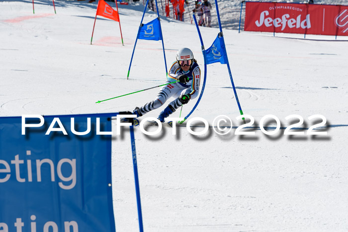 Team Parallelslalom Dt. Meisterschaft, 25.02.2022