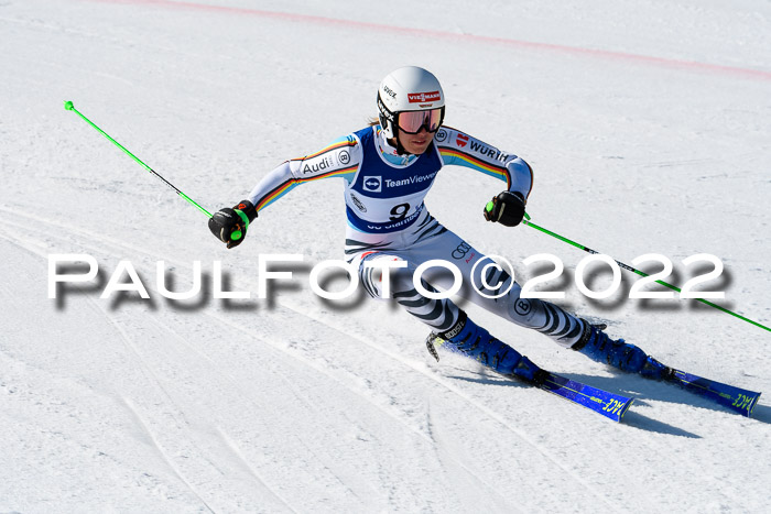 Team Parallelslalom Dt. Meisterschaft, 25.02.2022