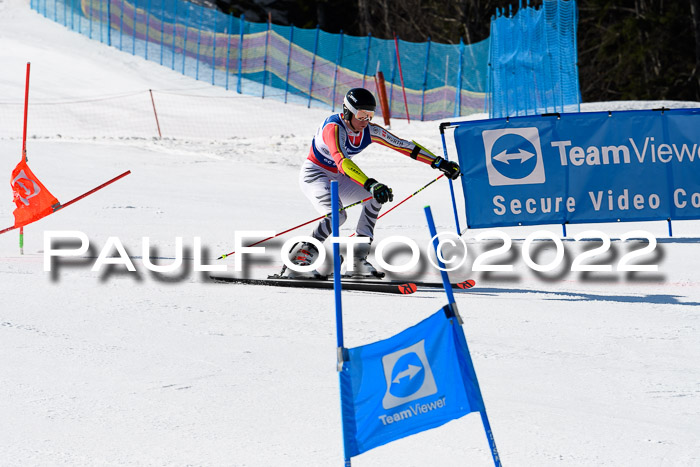 Team Parallelslalom Dt. Meisterschaft, 25.02.2022
