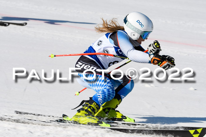 Team Parallelslalom Dt. Meisterschaft, 25.02.2022