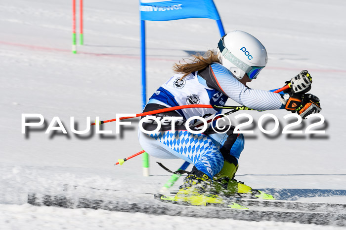 Team Parallelslalom Dt. Meisterschaft, 25.02.2022