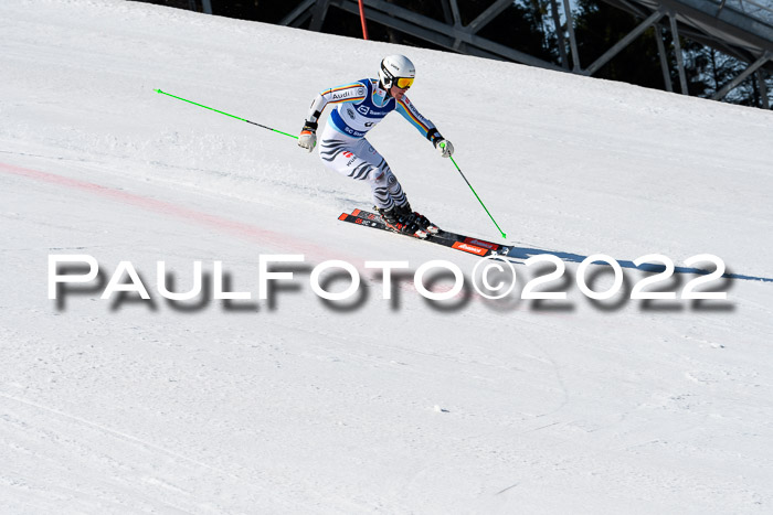 Team Parallelslalom Dt. Meisterschaft, 25.02.2022