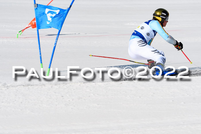 Team Parallelslalom Dt. Meisterschaft, 25.02.2022